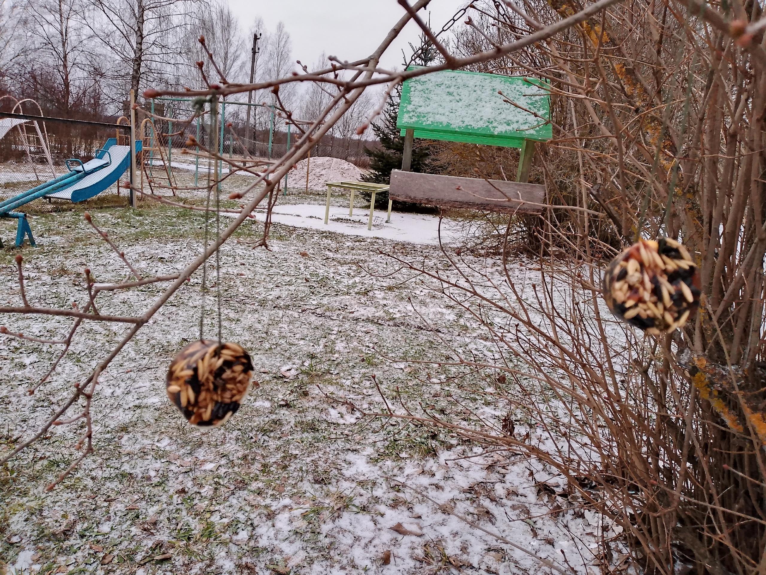 Покормите птиц зимой.