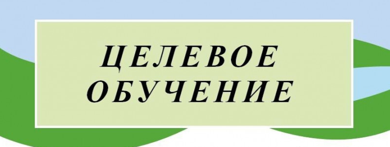 Новые меры поддержки студентов-целевиков в Смоленской области.